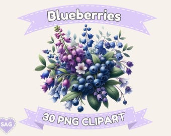 Blueberry Clipart: 30 PNG Images, Transparent Background (Digital Download)