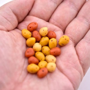 May include: A handful of small, colorful, oval-shaped candies in shades of yellow, orange, and red. The candies are smooth and appear to be coated. The image is a close-up shot, highlighting the texture and colors of the candies.
