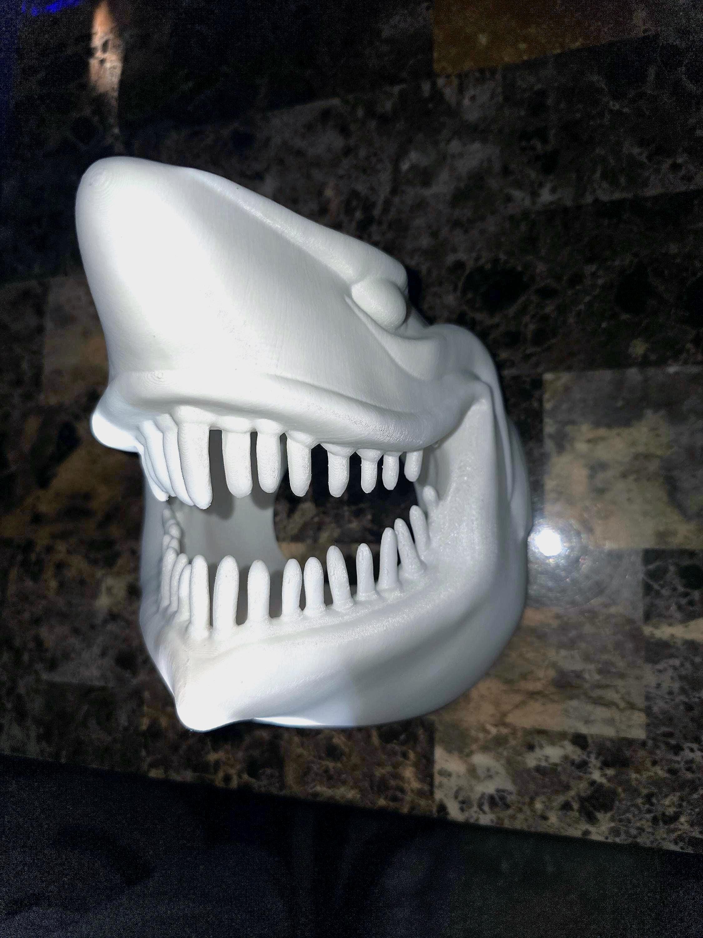 Shark head wall decor