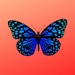 Owner of <a href='https://www.etsy.com/shop/bluevintagebutterfly?ref=l2-about-shopname&from_page=listing' class='wt-text-link'>bluevintagebutterfly</a>