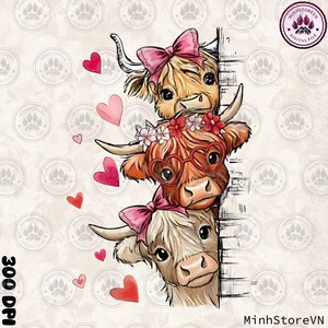Puede incluir: Ilustraci&oacute;n digital de tres vacas de las Tierras Altas asom&aacute;ndose por detr&aacute;s de una pared. Las vacas tienen lazos rosas, gafas en forma de coraz&oacute;n y coronas de flores. Corazones rosas flotan alrededor. Incluye el texto "300 DPI" y "MinhStoreVN".