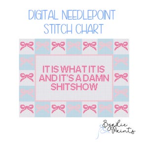 Es ist was es ist Shitshow Nadelspitze | Lustiges Stickmuster | Digitaler Download | Niedliche Stichvorlage | 13 Maschenkarte