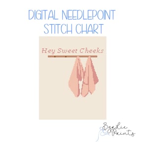 Hey Sweet Cheeks needlepoint| Bathroom Needlepoint Pattern | Digital Download | Cute Stitch Chart | 13 mesh chart
