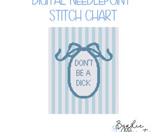 Non essere uno schema digitale per ricamo a punto croce / Schema divertente per ricamo a punto croce / Download digitale / Schema punti preppy / Schema a 13 maglie