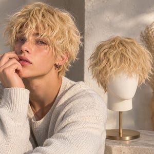 Peluca rizada de anime para hombre, rubia, marrón, corta y esponjosa, para cosplay, de cabello sintético resistente al calor, estilo coreano, en capas, ondulada, para disfraz de Halloween.