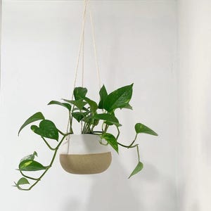 Puede incluir: Una maceta colgante con un diseño de dos tonos, blanco en la parte superior y beige en la inferior. Contiene una planta verde con hojas en forma de corazón. La maceta está suspendida por tres cuerdas blanquecinas. El fondo es una pared blanca.