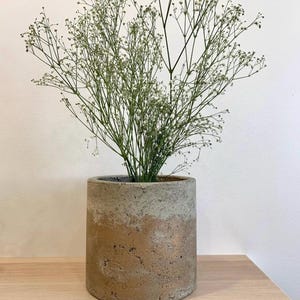 Puede incluir: Un jarrón cilíndrico de hormigón texturizado en tonos marrón y beige contiene un delicado arreglo de paniculata seca. El jarrón está sobre una superficie de madera clara, con una pared blanca de fondo.