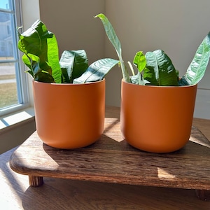 Orange Sunburst Ceramic Planter: Unique Pattern Pottery