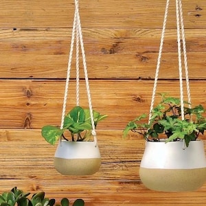May include: Two hanging planters with white and tan ceramic pots, suspended by white rope. Each pot contains green plants. The background is a wooden wall.