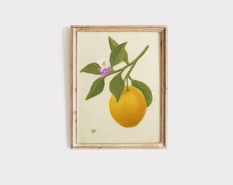 Lemon Oil Painting Print: Vintage Botanical Kitchen Wall Art (Unframed)