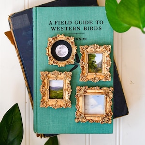 May include: Four miniature framed artworks with gold ornate frames rest on a teal book titled "A Field Guide to Western Birds." The artworks depict a moon, a landscape, and a sky with birds. The book is on top of a dark blue book.