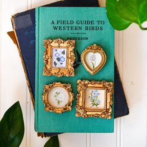 May include: A teal book titled "A Field Guide to Western Birds" with four small, ornate gold frames. Each frame contains a botanical illustration of a flower. The book is stacked on top of a dark blue book.