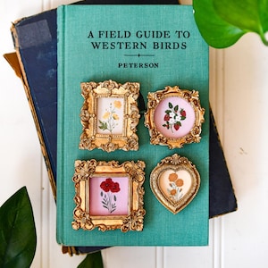 May include: A teal book titled "A Field Guide to Western Birds" with four small, ornate gold frames. Each frame contains a floral design on a pink or white background. The frames are arranged on top of the book.