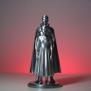 Dramione 3D Printed Figurine | Draco and Hermione Fan Art | Book Shelf Decor