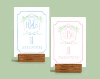 Personalized Baby Milestone Cards, Baby Shower Gift, Monogram Card Set, Grand Millennial Nursery Keepsake, Linen Set of Monthly Cards