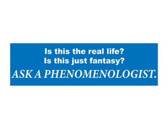 Filosofische bumpersticker, doordacht autodecor, vraag het een fenomenoloog, cadeau voor liefhebbers van filosofie, leuke auto-accessoires