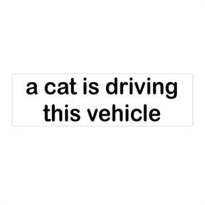 Cat Bumper Sticker