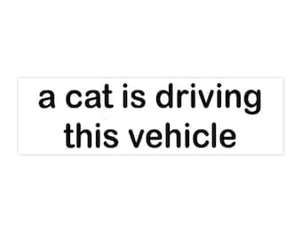 Cat Bumper Sticker