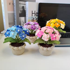 May include: Four crocheted hydrangea plants in various colors: blue, purple, pink, and yellow. Each plant is in a beige pot with a brown base and green leaves. The flowers have pearl accents. Books and a laptop are in the background.