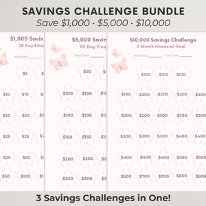 May include: A Savings Challenge Bundle featuring three light pink financial tracking sheets with butterfly illustrations and flower-shaped icons. Each sheet includes text for $1,000, $5,000, and $10,000 goals with designated spaces for start and goal dates.