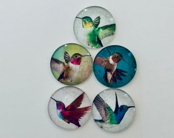 Hummingbird Glass Magnets Set – Round Refrigerator Decor (Set of 5)