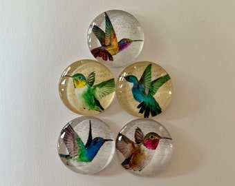 Hummingbird Round Glass Magnets Set of 5