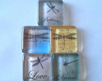 Dragonfly Square Glass Magnets Set of 5