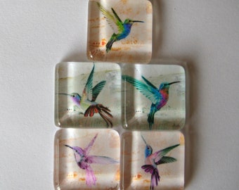 Fun Hummingbird Square Glass Tile Magnets Set of 5