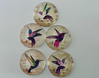 Pretty Hummingbird Round Glass Magnets Set of 5