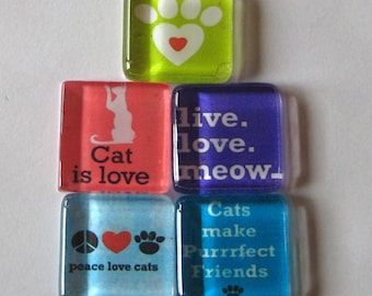 Cat Lover Square Glass Magnets Set of 5