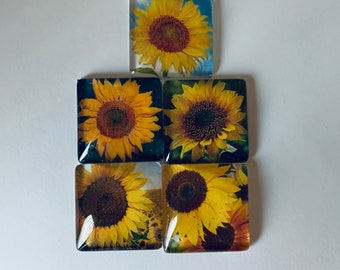 Pretty Sunflowers Square Glass Magnets Set of 5