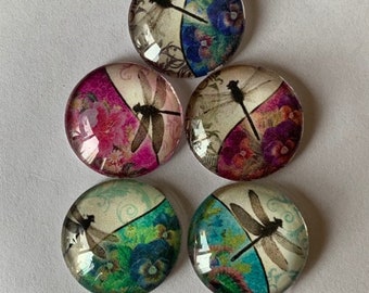 Pretty Dragonfly Round Glass Magnets Set of 5