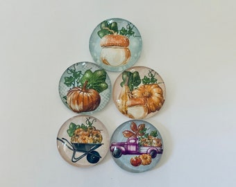 So Cute Autumn Themed Round Glass Magnets