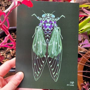 May include: A dark green art print featuring a detailed illustration of a cicada. The insect has purple and blue accents, with green and white wings. The artist's signature, "MB RAT.DESIG", is in the bottom right corner.