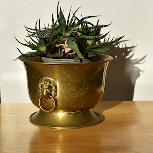 Vintage koperen plantenbak leeuwenkop uit het midden van de eeuw