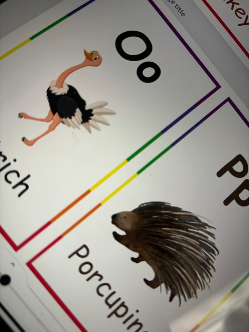 Alphabet Animal Flashcards - Etsy