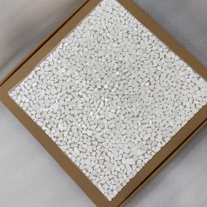 Può includere: Una scatola quadrata di cartone marrone contenente una disposizione densa di piccoli frammenti di conchiglia bianchi, irregolari e iridescenti. I pezzi sono strettamente uniti, creando una texture superficiale a mosaico con una finitura madreperlacea.