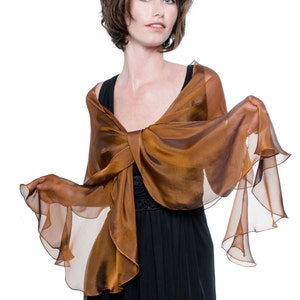 Evening Silk Chiffon Burnt Orange Scarf  Wrap