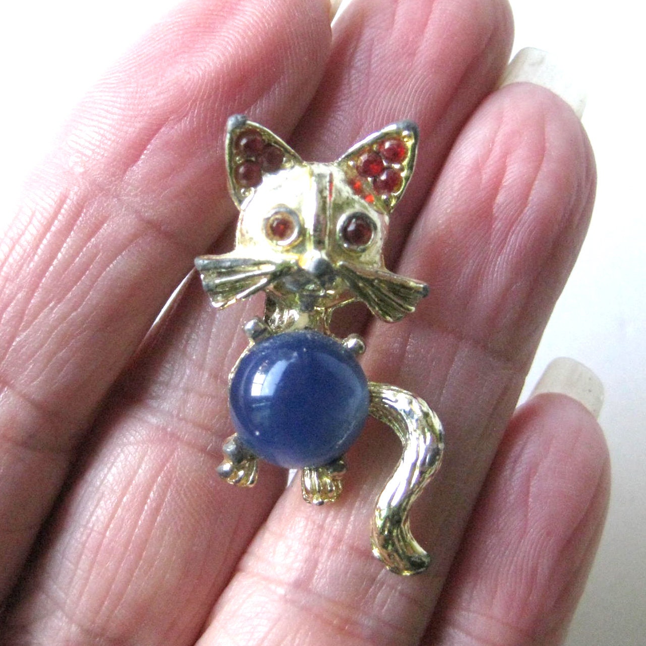 Jelly top belly cat