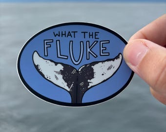 Humpback Whale “What the Fluke” Sticker | Funny Whale Sticker | Ocean Sticker | Marine Life Vinyl Decal | Waterproof Sticker | Whale Lover