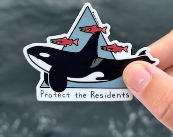 Resident Orca Waterproof Sticker, Ocean Advocate
