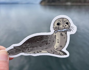 Cute Harbor Seal Sticker | Seal Sticker | Ocean Animal Sticker | Marine Life Vinyl Decal | Waterproof Sticker | Seal Lover Gift