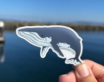 Cute Humpback Whale Sticker | Whale Doodle Sticker | Ocean Sticker | Marine Life Vinyl Decal | Waterproof Sticker | Whale Lover Gift