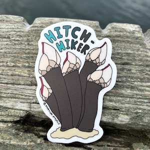 May include: A white sticker with a cartoon illustration of a group of barnacles with the text "HITCH-HIKER" in blue and black lettering. The sticker has a copyright notice at the bottom that reads "@bluetide.project".