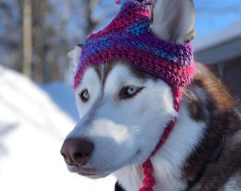 Czapka dla psa na zamówienie, kapelusz dla psa, akcesoria dla psów, czapka dla zwierząt, wybierz kolor czapki i pomponu, czapka, kapelusz, ubranka dla psa
