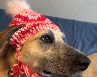Rote und rosa Hundemütze ~Hundemütze ~Hundezubehör ~Beanie und Frauchen ~Beanie ~Beanie ~Haustierkleidung