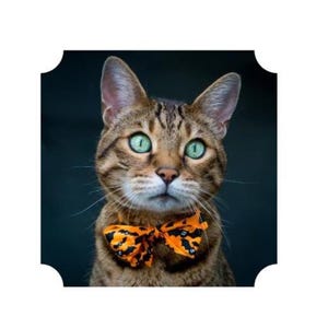 Custom waterproof stickers - great quality stickers - many options of sticker shapes to choose from!