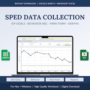 SPED-Datenerfassungstabelle für IEP-Ziele und Verhalten, Google Sheets & Excel