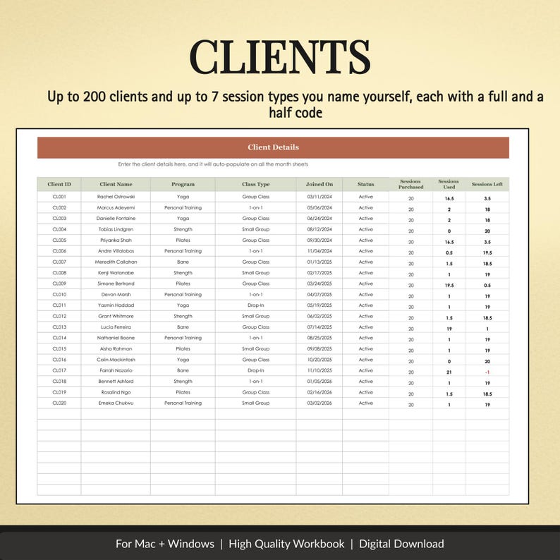 Client Session Tracker Spreadsheet - preview image 8 of 12