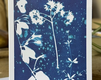 Local Nature Cyanotype Greeting Card